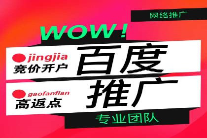 百度竞价托管：案例背后的数据解读